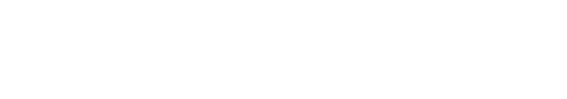 BeWild Studio